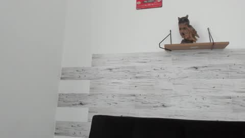 Jaycreedd online show from 22, 9, 2025