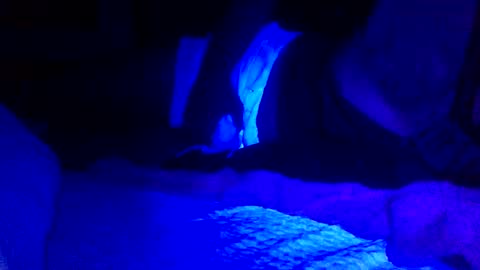 Snapshot of jaysobricked chatting on 7, 2, 2025 Jaysobricked online show from 7, 2, 2025