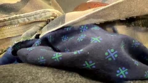 Snapshot of jbigblue chatting on 28, 9, 2025 jbigblue online show from 28, 9, 2025