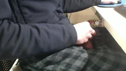 Snapshot of jc200000 chatting on 29, 1, 2025 jc200000 online show from 29, 1, 2025