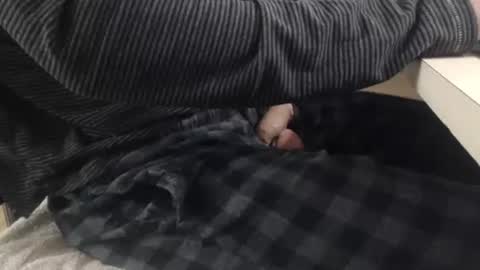 Snapshot of jc200000 chatting on 3, 11, 2025 jc200000 online show from 3, 11, 2025