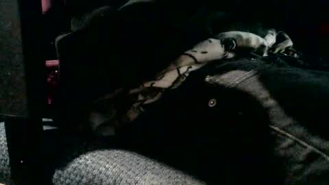 Snapshot of jebblynch42 chatting on 19, 2, 2026 JJ Banks online show from 19, 2, 2026