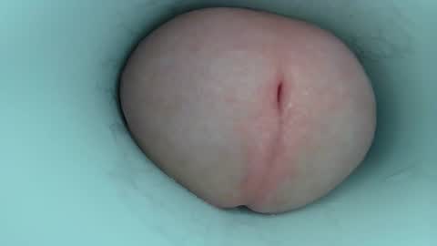 jeffrodgerschaturbat online show from 23, 2, 2026