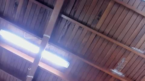 jeicob gagnon online show from 28, 1, 2025