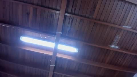 jeicob gagnon online show from 30, 1, 2025