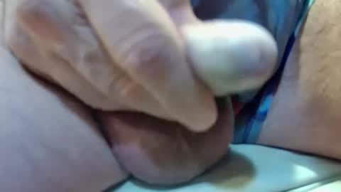 Jelly online show from 23, 1, 2025