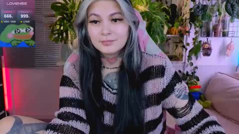 Jelya online show from 9, 1, 2026