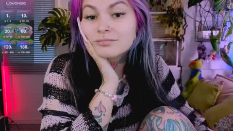 Jelya online show from 8, 4, 2026