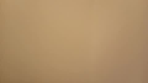 Snapshot of jemini0 chatting on 16, 3, 2026 jemini0 online show from 16, 3, 2026