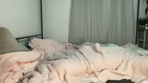 Snapshot of jenni_cash chatting on 11, 12, 2024 Mistress Jenni online show from 11, 12, 2024