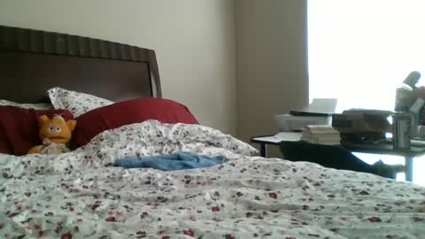 Jennibean6996 online show from 30, 9, 2025