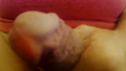 JoeEBear online show from 13, 12, 2024