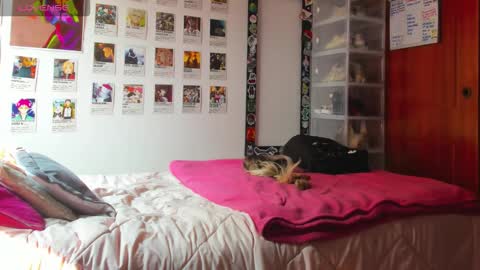 Your Sweet Angel online show from 12, 2, 2026