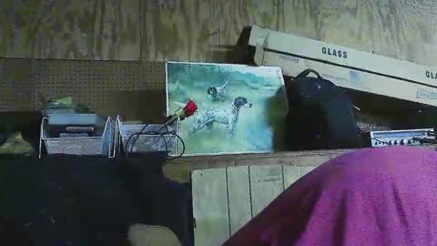 Snapshot of jessiehammerdik chatting on 6, 3, 2025 Dixon Cider online show from 6, 3, 2025