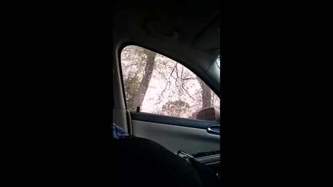 Snapshot of jgthagr8 chatting on 4, 3, 2026 jgthagr8 online show from 4, 3, 2026