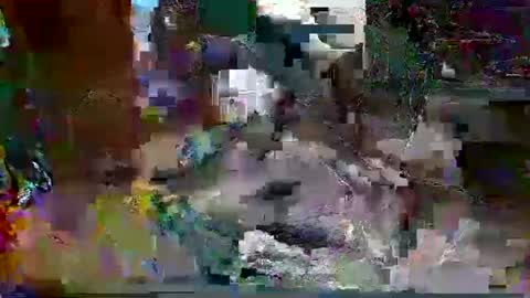 jimm83323458 online show from 20, 10, 2025