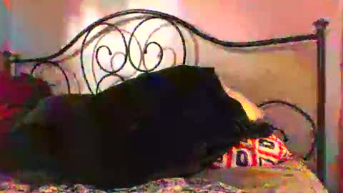 Snapshot of jimz169 chatting on 4, 6, 2026 Jimz14u online show from 4, 6, 2026