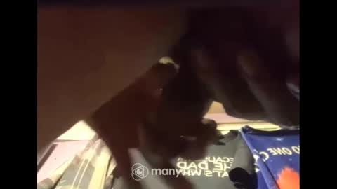 Snapshot of johnnyshung1 chatting on 13, 12, 2024 johnnyshung1 online show from 13, 12, 2024