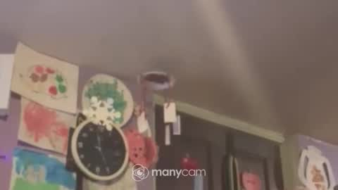 Snapshot of johnnyshung1 chatting on 16, 12, 2024 johnnyshung1 online show from 16, 12, 2024