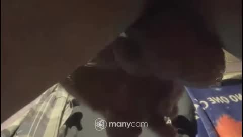 Snapshot of johnnyshung1 chatting on 2, 2, 2025 johnnyshung1 online show from 2, 2, 2025