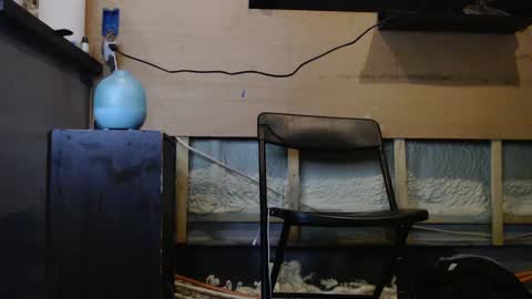 johnplayer23 online show from 6, 1, 2025