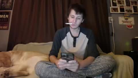 Johston online show from 8, 12, 2024