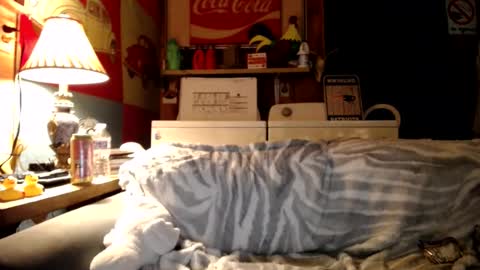 Snapshot of johstondude chatting on 14, 7, 2026 Johston online show from 14, 7, 2026
