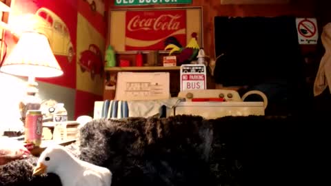 Snapshot of johstondude chatting on 27, 7, 2026 Johston online show from 27, 7, 2026