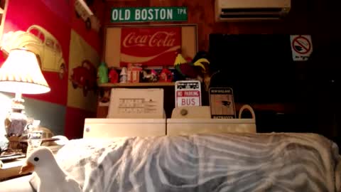 Snapshot of johstondude chatting on 4, 8, 2026 Johston online show from 4, 8, 2026