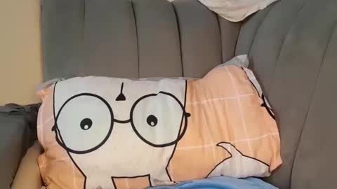 jolly_pretty online show from 3, 11, 2025