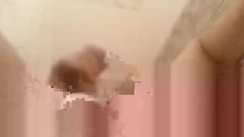 jonathanrossmyers858 online show from 30, 12, 2024