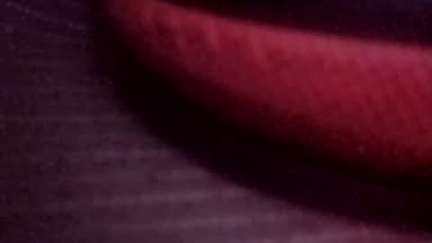 jonathanrossmyers858 online show from 13, 3, 2026