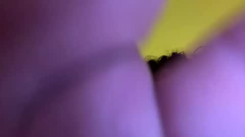 Snapshot of josevaldez4769 chatting on 28, 11, 2025 josevaldez47 online show from 28, 11, 2025