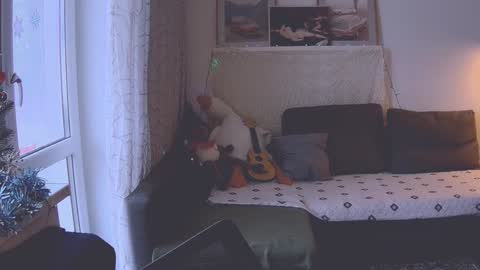 joy_keys online show from 9, 1, 2025