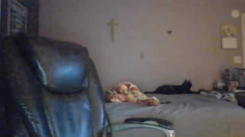 Snapshot of jpetz69257238 chatting on 5, 8, 2026 jpetz69257238 online show from 5, 8, 2026