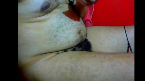 jshepeherdd online show from 29, 3, 2026