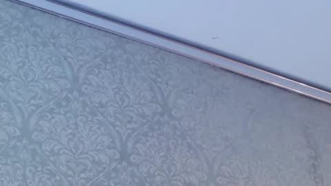 Snapshot of juanita_salv chatting on 12, 2, 2026 juanita online show from 12, 2, 2026