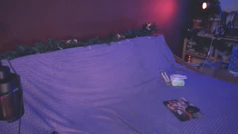 Arina online show from 27, 12, 2024