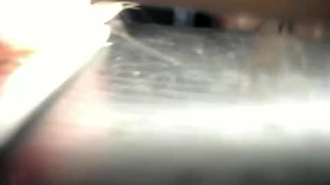 Den  online show from 23, 3, 2026