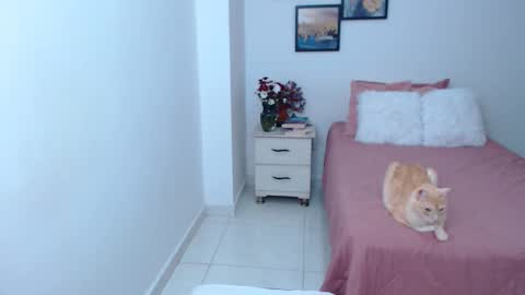 julia online show from 6, 4, 2026