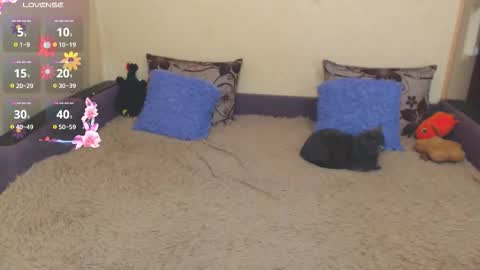 Jul online show from 5, 2, 2026