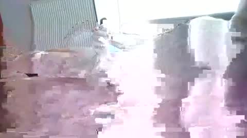 Snapshot of julien3327 chatting on 16, 3, 2026 julien3327 online show from 16, 3, 2026