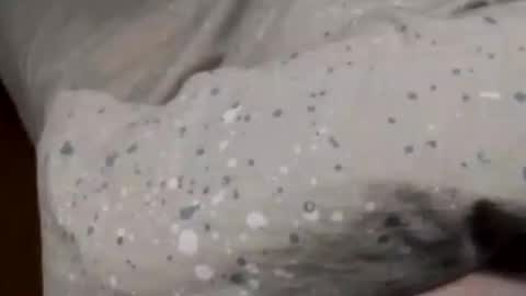 Snapshot of jumezee chatting on 6, 1, 2025 Asian office boy online show from 6, 1, 2025