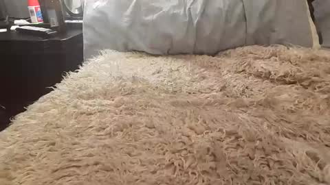 Snapshot of jusme6269 chatting on 8, 1, 2025 Jusme6269 online show from 8, 1, 2025