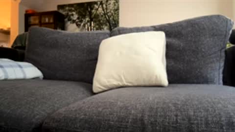 Snapshot of justturned18party chatting on 4, 12, 2025 Kevin online show from 4, 12, 2025