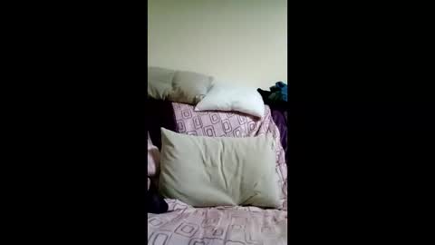 kactuses online show from 5, 12, 2025