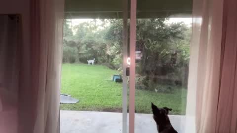 Kailee Smile online show from 8, 1, 2025