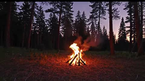 Snapshot of kaileeshy chatting on 9, 1, 2026 Kailee Smile online show from 9, 1, 2026