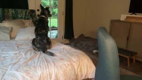 Snapshot of kaileeshy chatting on 7, 2, 2026 Kailee Smile online show from 7, 2, 2026