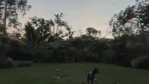 Kailee Smile online show from 24, 4, 2026